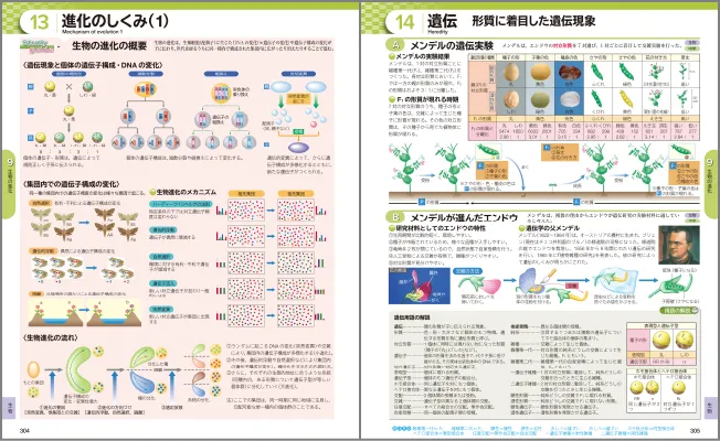 13 進化のしくみ(1) / 14 遺伝