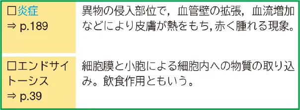 炎症(青字) →p.189