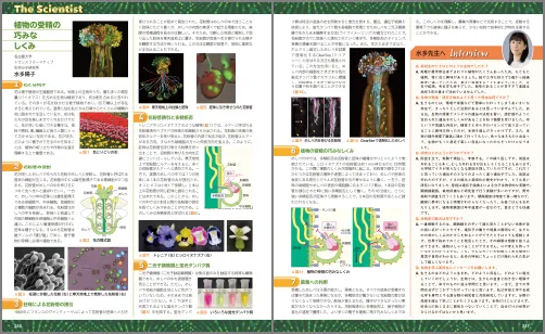 The Scientist 植物の受精の巧みなしくみ