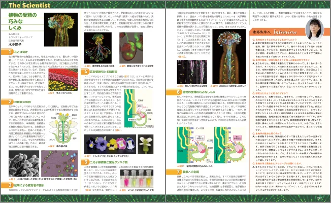The Scientist 植物の受精の巧みなしくみ
