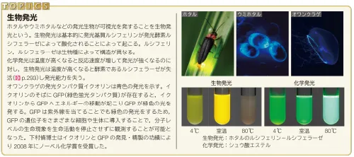 TOPICS 生物発光