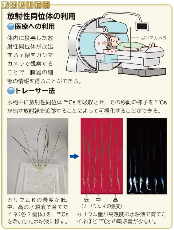 TOPICS 放射性同位体の利用