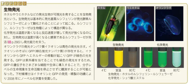 TOPICS 生物発光