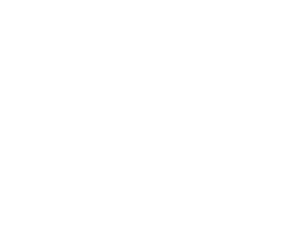 資料集なのに
別冊
ワークブック
で多様な学びを
実現