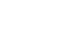 icon 07