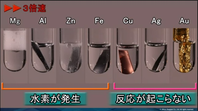 映像サンプル