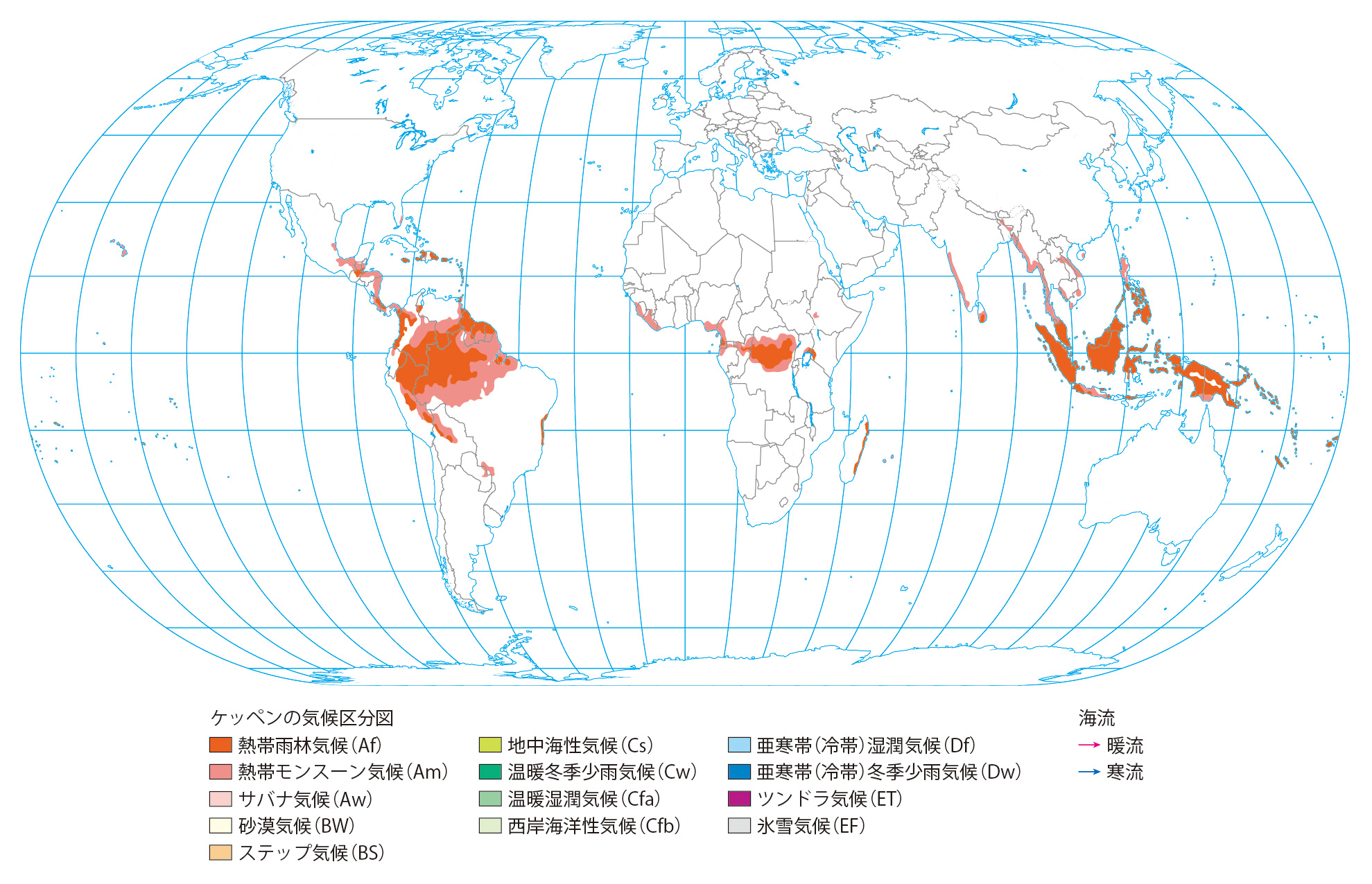 デジタル図版集