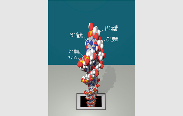 双方向の対話や作業を通して思考力・判断力・表現力を育てる