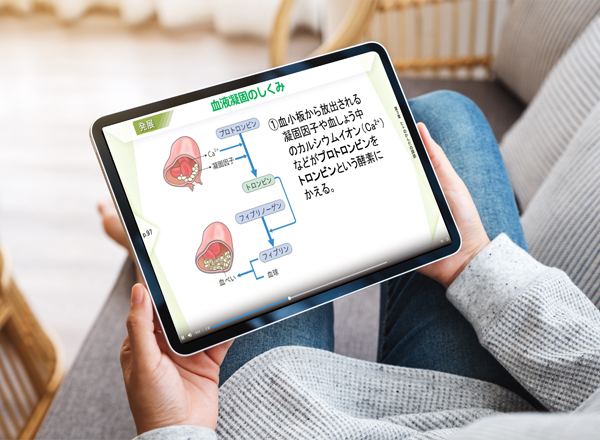 動画コンテンツ