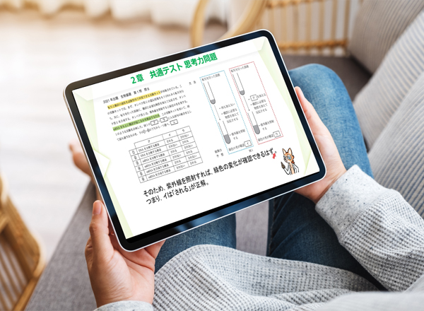 動画コンテンツ